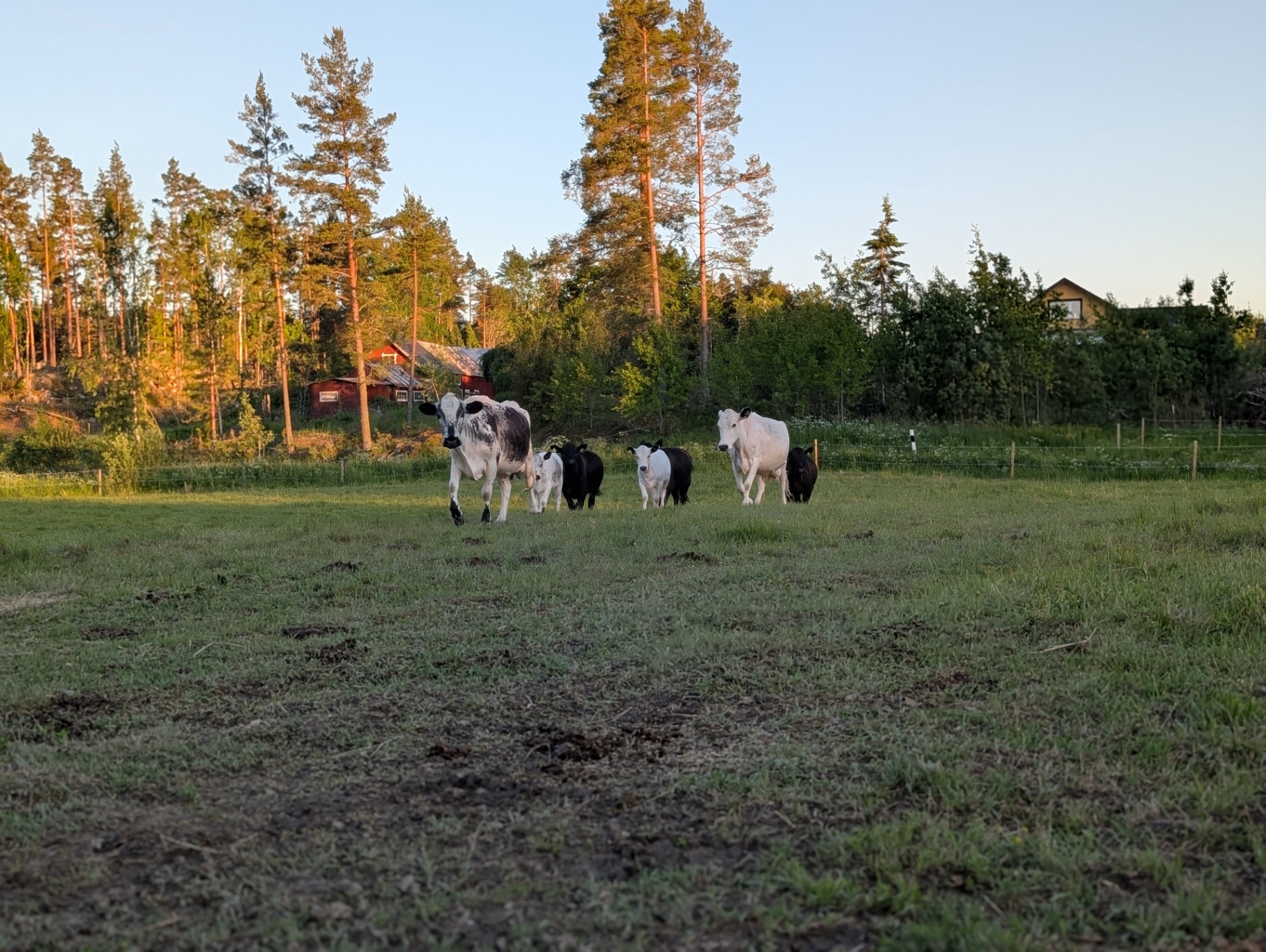 MV Ranch landskap
